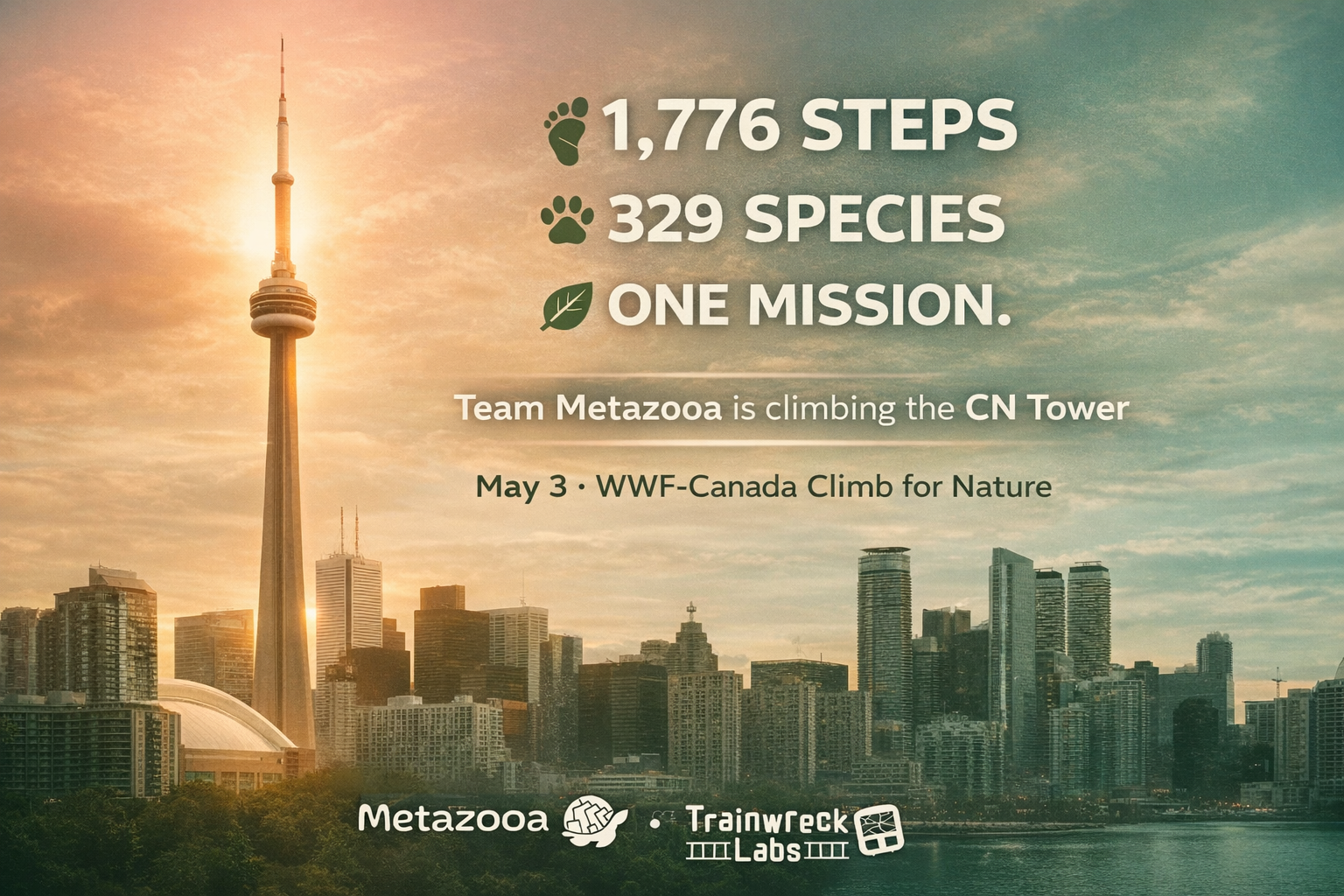 CN Tower event